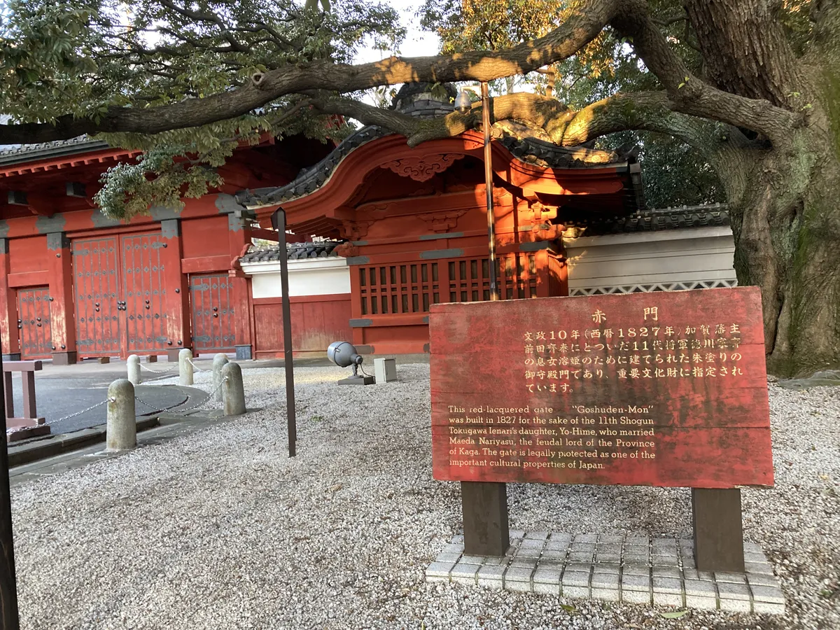 赤門は1827年に11第将軍の際に建てられました。日本の重要文化財です。