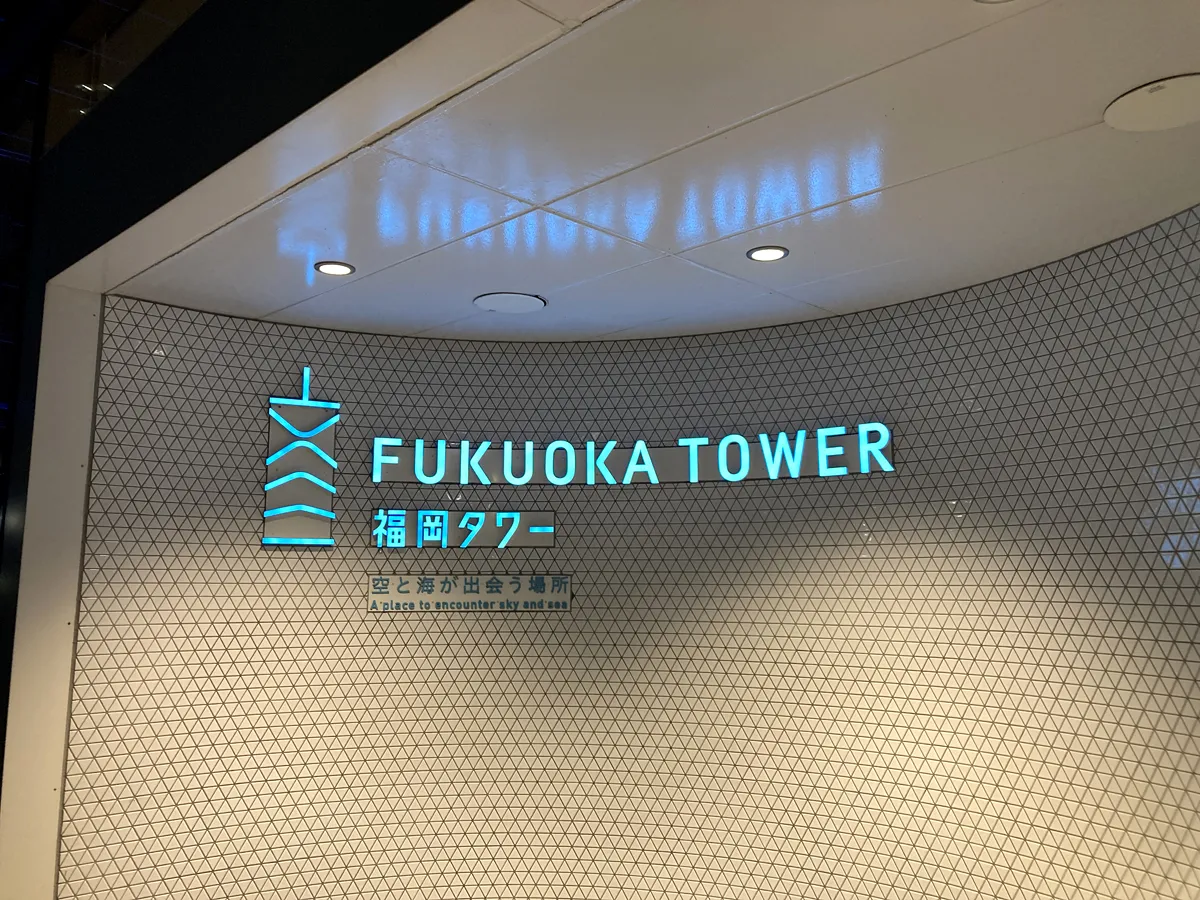 福岡タワー内に入ります。