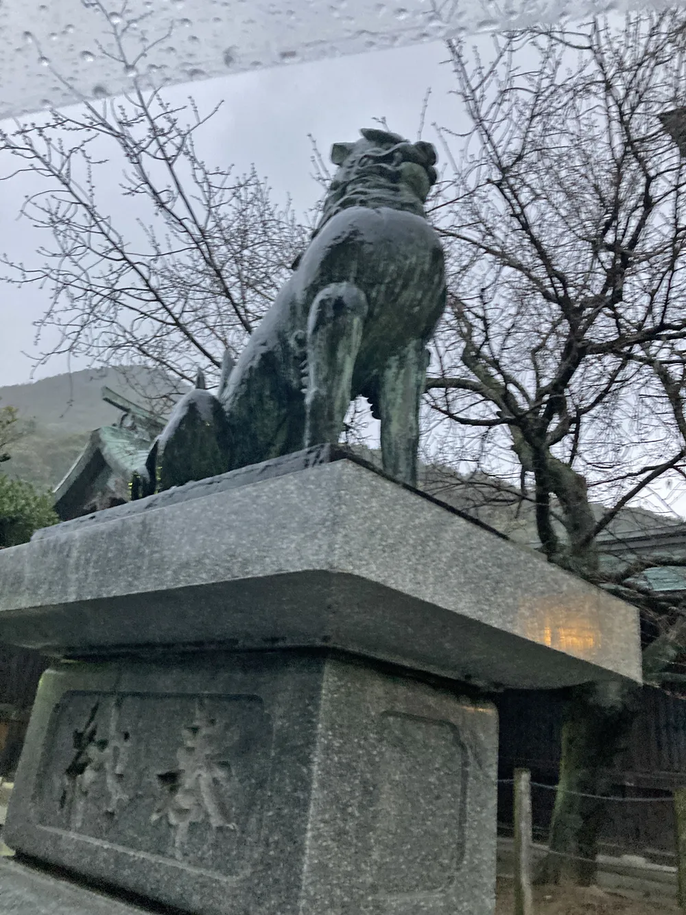 宮地嶽神社、狛犬の阿吽の「吽」